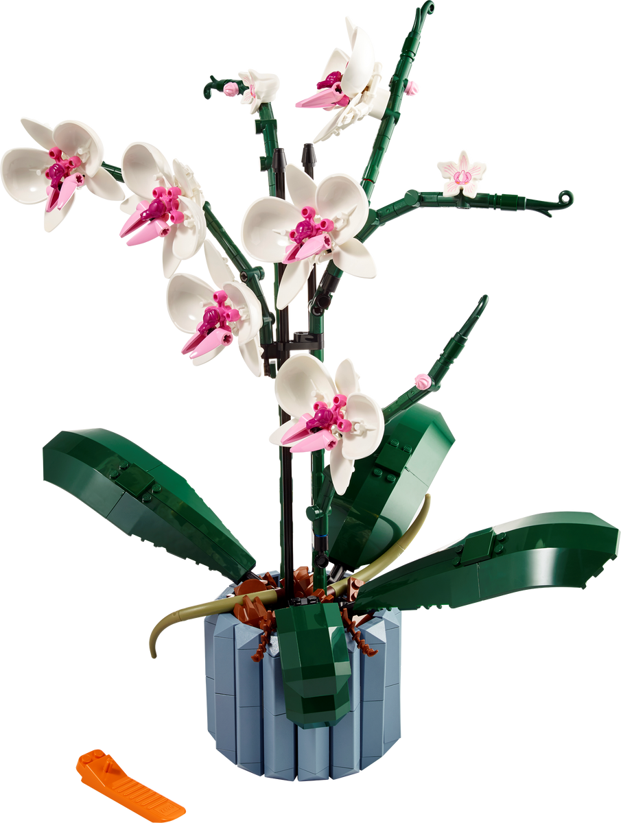 10311 Orchid – Bricks & Minifigs - Pearland