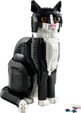21349 Tuxedo Cat