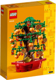 40648 Money Tree