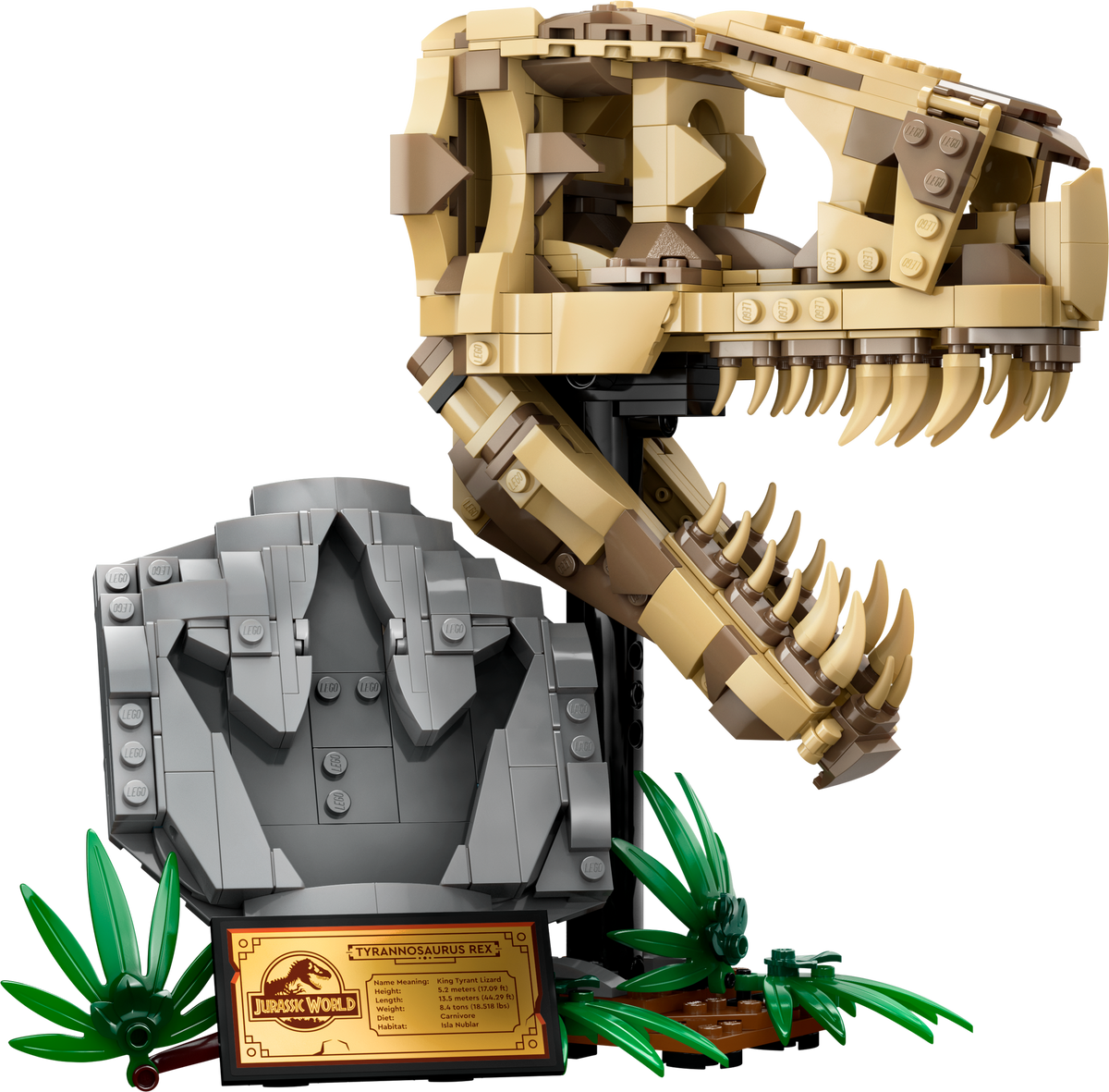 76964 Dinosaur Fossils: T. rex Skull – Bricks & Minifigs - Pearland