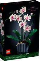 10311 Orchid (D)