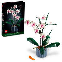 10311 Orchid (D)