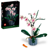 10311 Orchid (D)