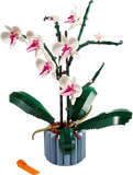 10311 Orchid (D)