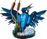 10331 Kingfisher
