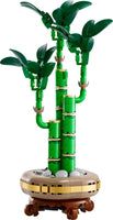 10344 Lucky Bamboo