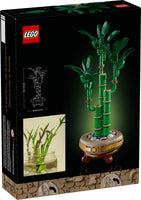 10344 Lucky Bamboo