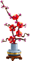 10369 Plum Blossom Flower