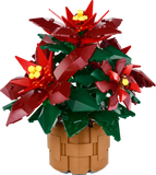 10370 Poinsettia Plant*