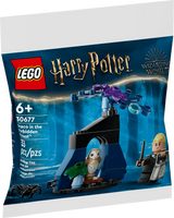 30677 Draco in the Forbidden Forest