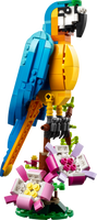 31136 Exotic Parrot