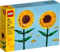 40524 Sunflowers