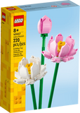 40647 Lotus Flowers