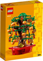 40648 Money Tree