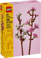 40725 Cherry Blossoms