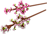40725 Cherry Blossoms