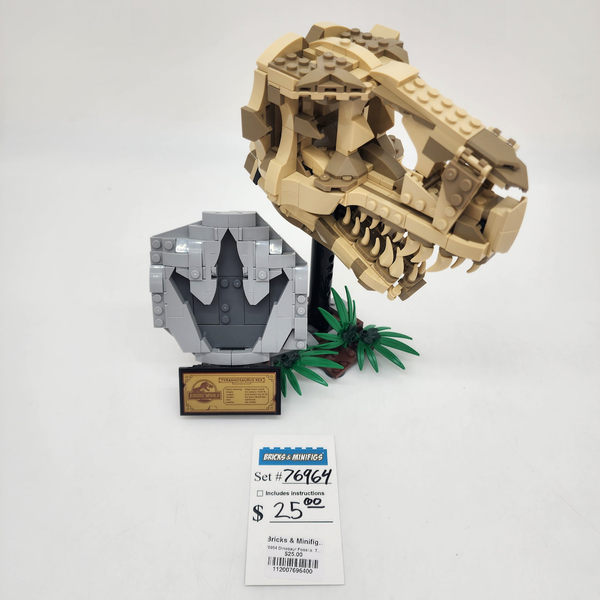 76964 Dinosaur Fossils: T. rex Skull (U)