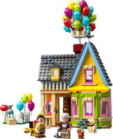 43217 Up House