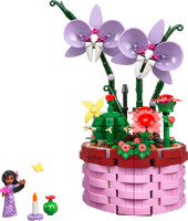 43237 Isabela's Flowerpot