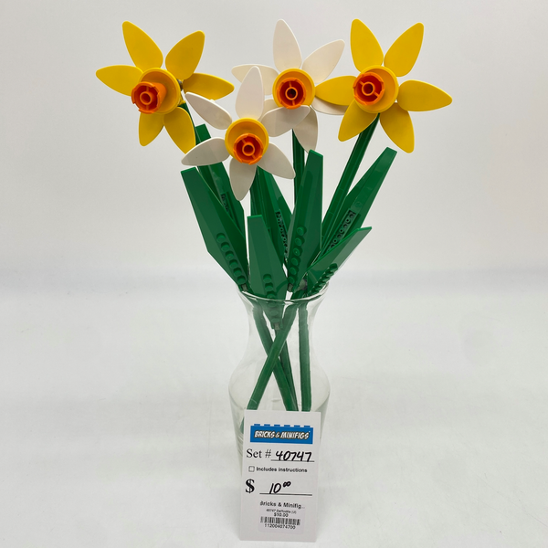 40747 Daffodils (U)