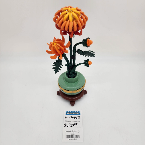 10368 Chrysanthemum (U)