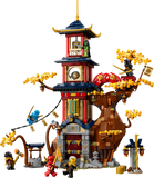 71795 Temple of the Dragon Energy Cores