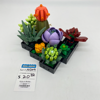 10309 Succulents (U1)
