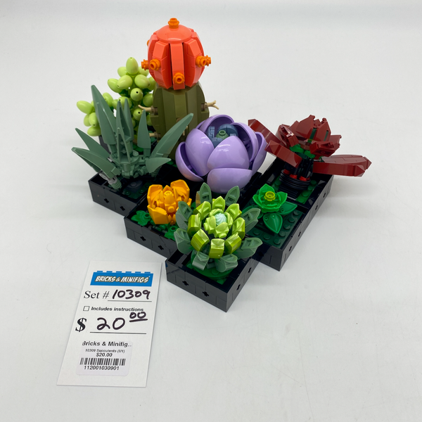 10309 Succulents (U1)