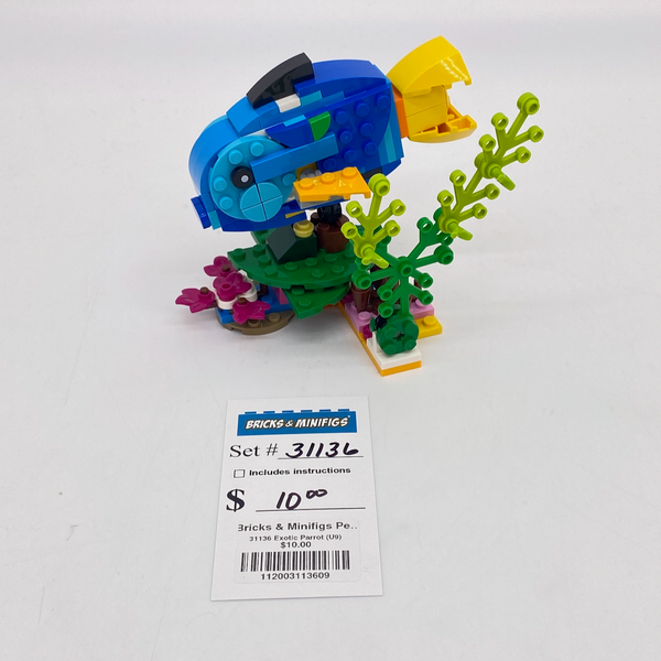 31136 Exotic Parrot (U9)