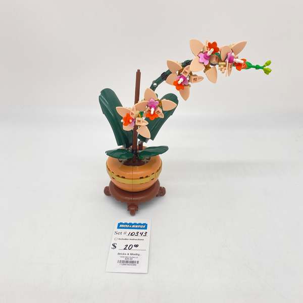 10343 Mini Orchid (U)