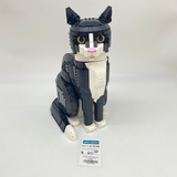 21349 Tuxedo Cat (U)