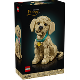 11384 Golden Retriever Puppy