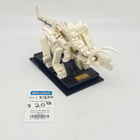 21320 Dinosaur Fossils (U3)