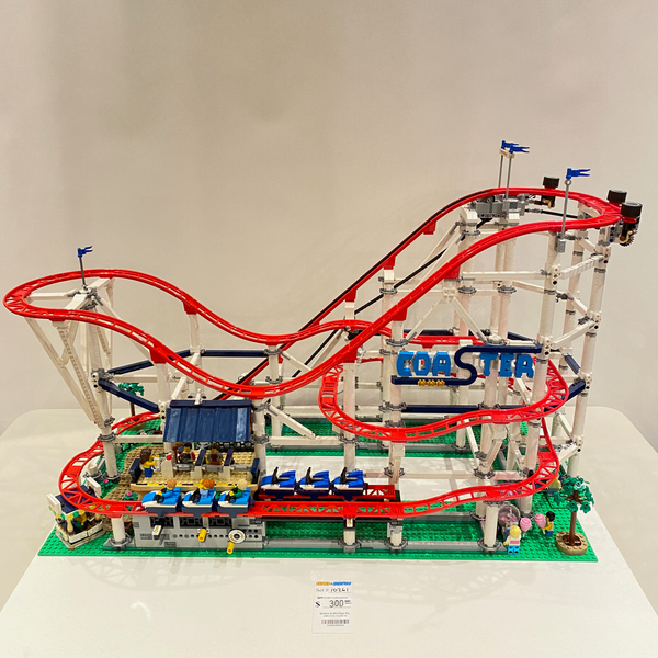 10261 Roller Coaster (U6)