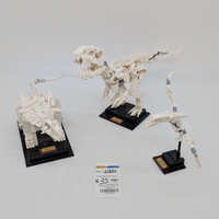 21320 Dinosaur Fossils (U2)