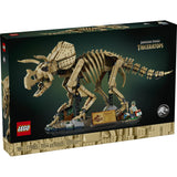 77985 Dinosaur Fossils: Triceratops