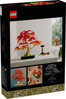 10348 Japanese Red Maple Bonsai Tree