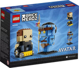 40554 Jake Sully & his Avatar