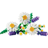 11508 Daisies
