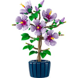 10372 Hibiscus