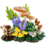 11505 Woodland Mushrooms