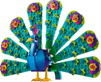 31157 Exotic Peacock