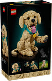 11384 Golden Retriever Puppy