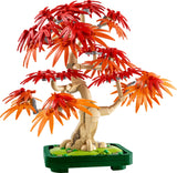 10348 Japanese Red Maple Bonsai Tree