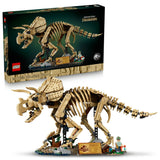 77985 Dinosaur Fossils: Triceratops