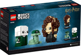 40496 Voldemort, Nagini & Bellatrix