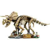 77985 Dinosaur Fossils: Triceratops
