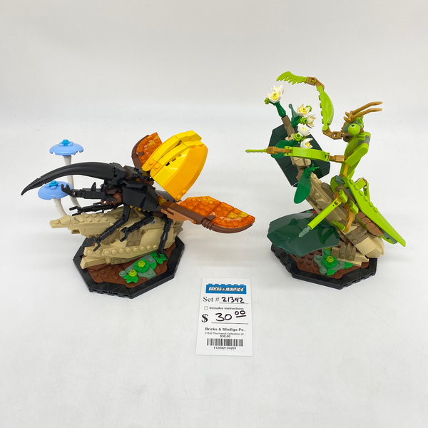 21342 The Insect Collection (U1)