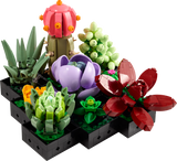 10309 Succulents