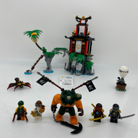 70604 Tiger Widow Island (U)